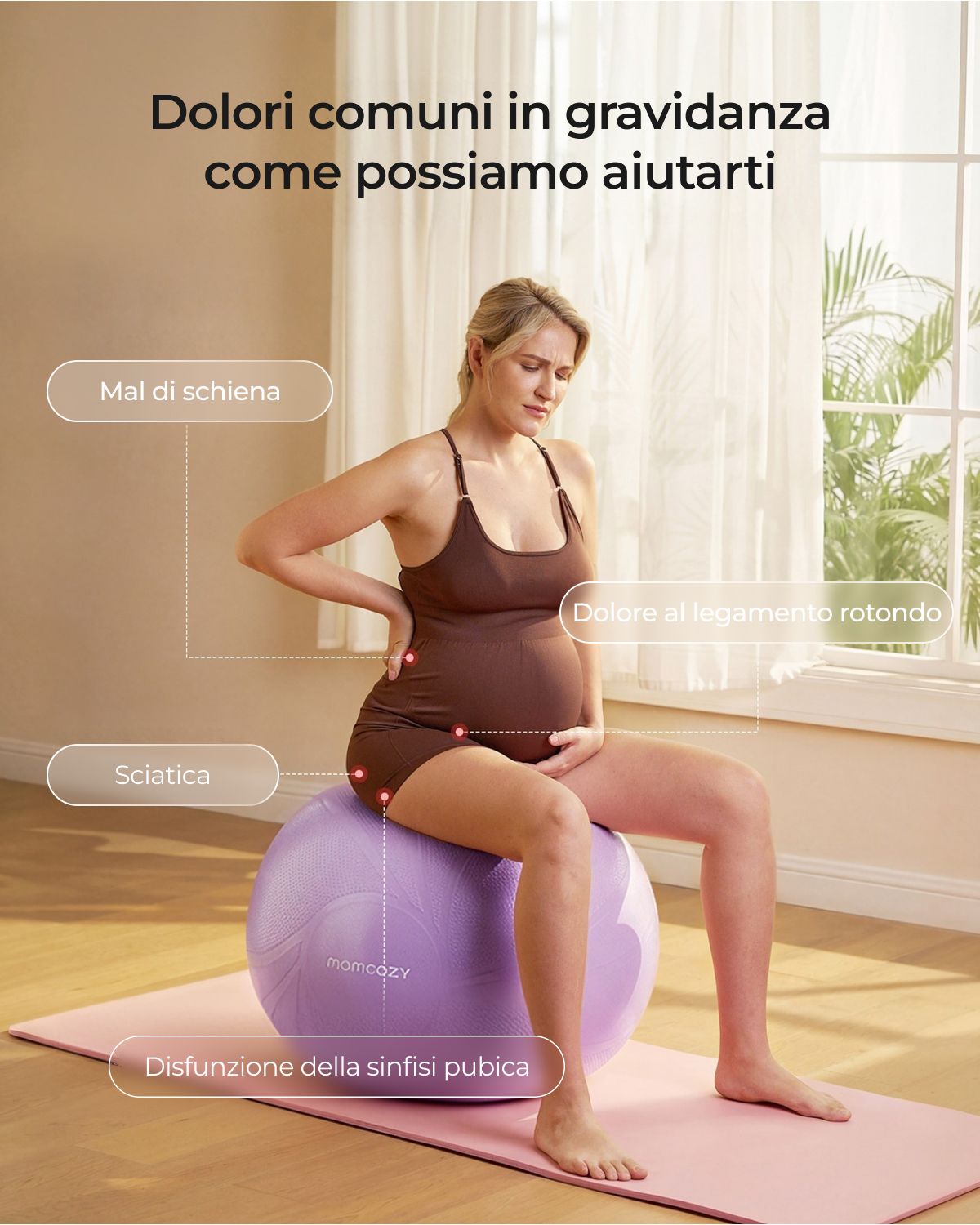 BirthEase Pregnancy Ball  Set— Birthing Ball