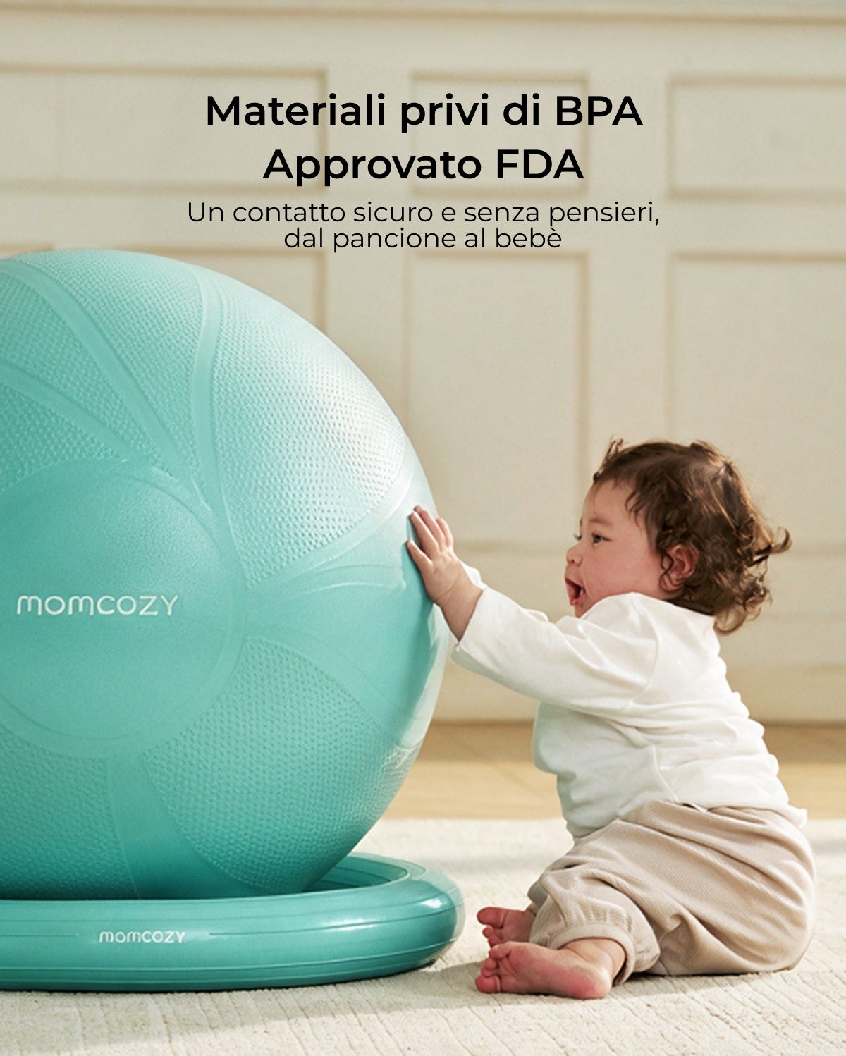 BirthEase Pregnancy Ball  Set— Birthing Ball
